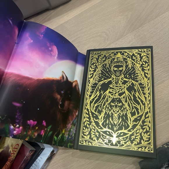 Fairyloot Edition of A Crown of Gilded Bones by Jennifer L Armentrout - Picture 3 of 5